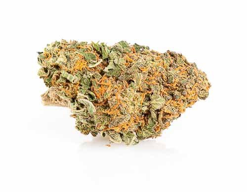 california haze just bob