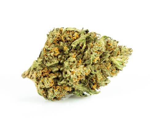 sweet berry just bob