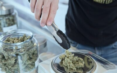 Tips on Buying CBD Buds or Flowers
