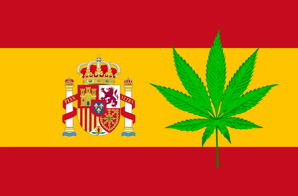 Regulación del Cannabis Medicinal en España
