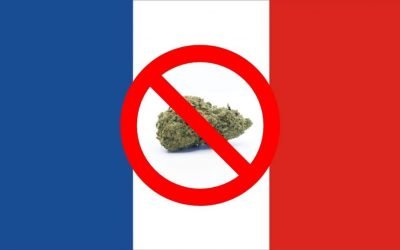 Francia Prohibe la Venta de Flores de CBD