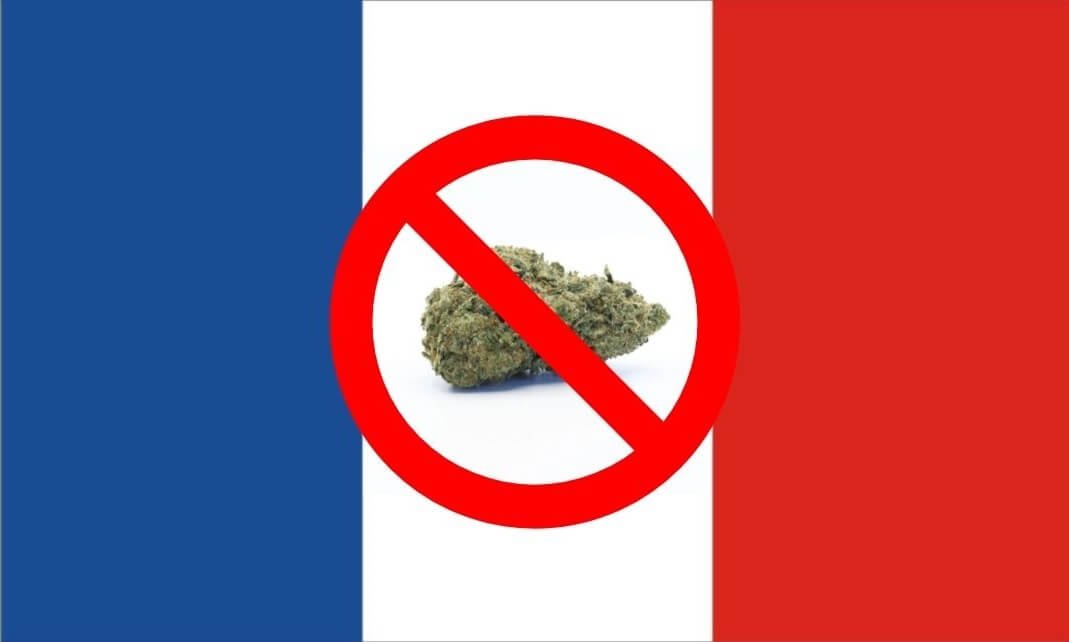 Francia Prohibe la Venta de Flores de CBD