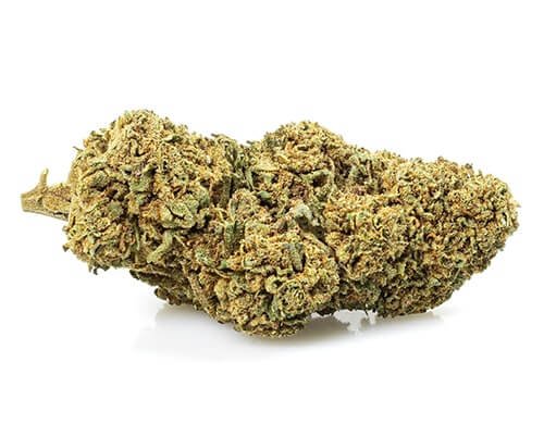 MELON KUSH