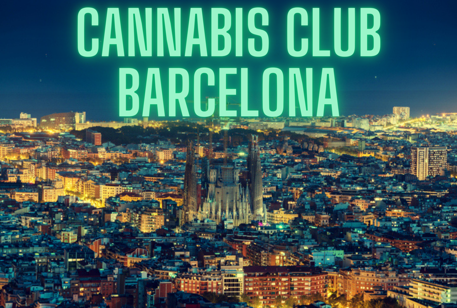 Cannabis clubs Barcelona