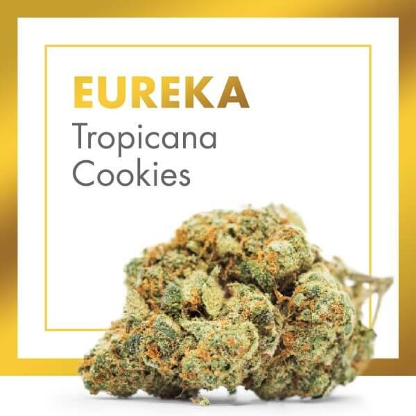 Eureka Cannactiva Tropicana Cookies