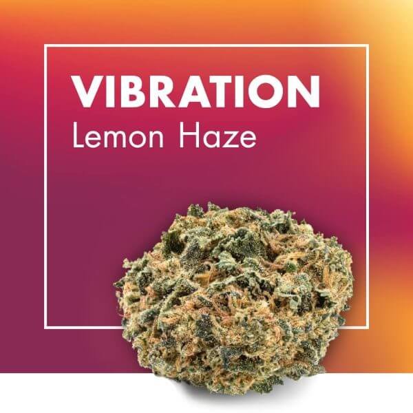 Vibration Lemon Haze Cannactiva