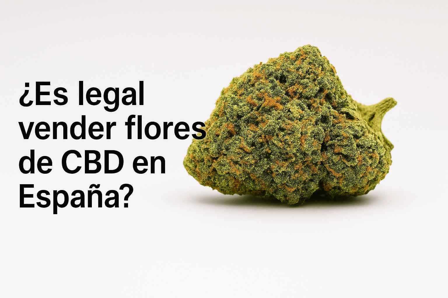 ¿Es legal vender flores de CBD en España en 2025? Situación actual y perspectivas