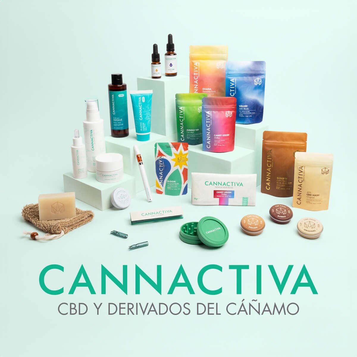 Amplia gama de productos Cannactiva de CBD y cáñamo: cremas, aceites, cosmética, grinders, flores, resinas y accesorios, dispuestos sobre fondo verde claro.