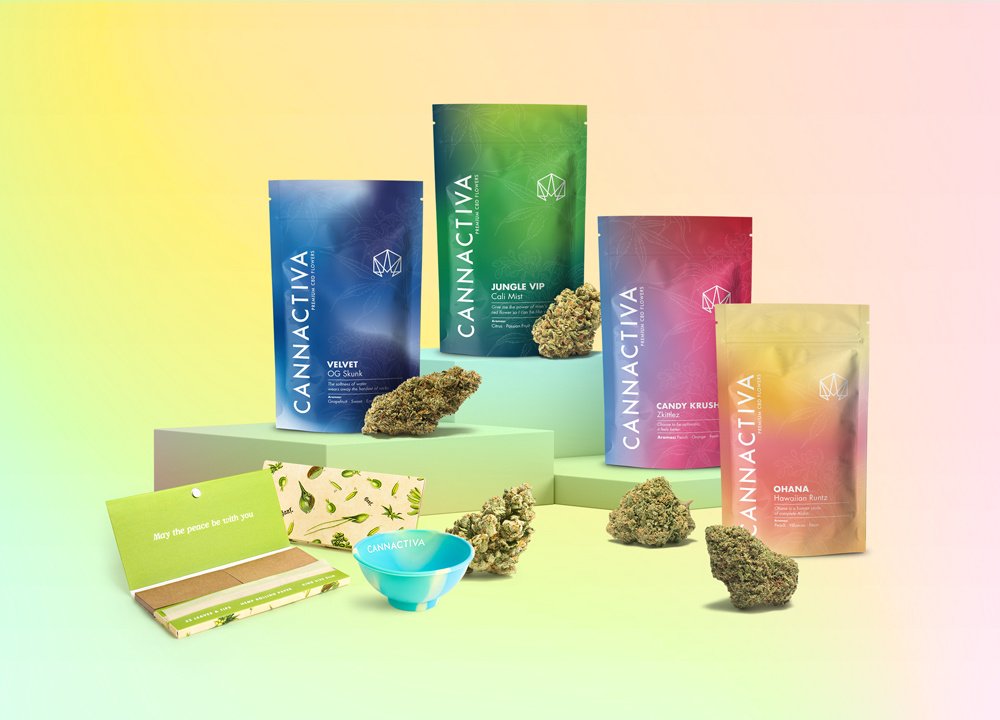 Selección de flores de CBD Cannactiva en bolsas de colores vivos como Velvet, Jungle VIP, Candy Krush y Ohana, con accesorios para fumar.