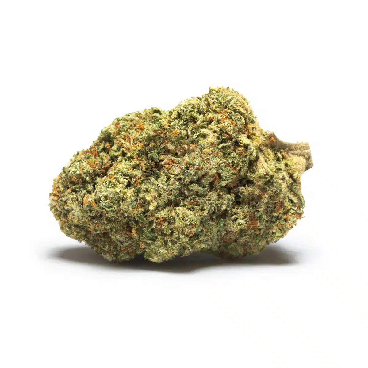 Cogollo de CBD Cannactiva variedad Orange Mood, flor compacta con tricomas visibles y tonos verdes y anaranjados.