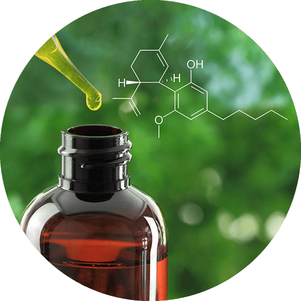 Aceite de CBD Aceite de CBD con gotero y representación de la molécula del cannabidiol sobre fondo natural verde