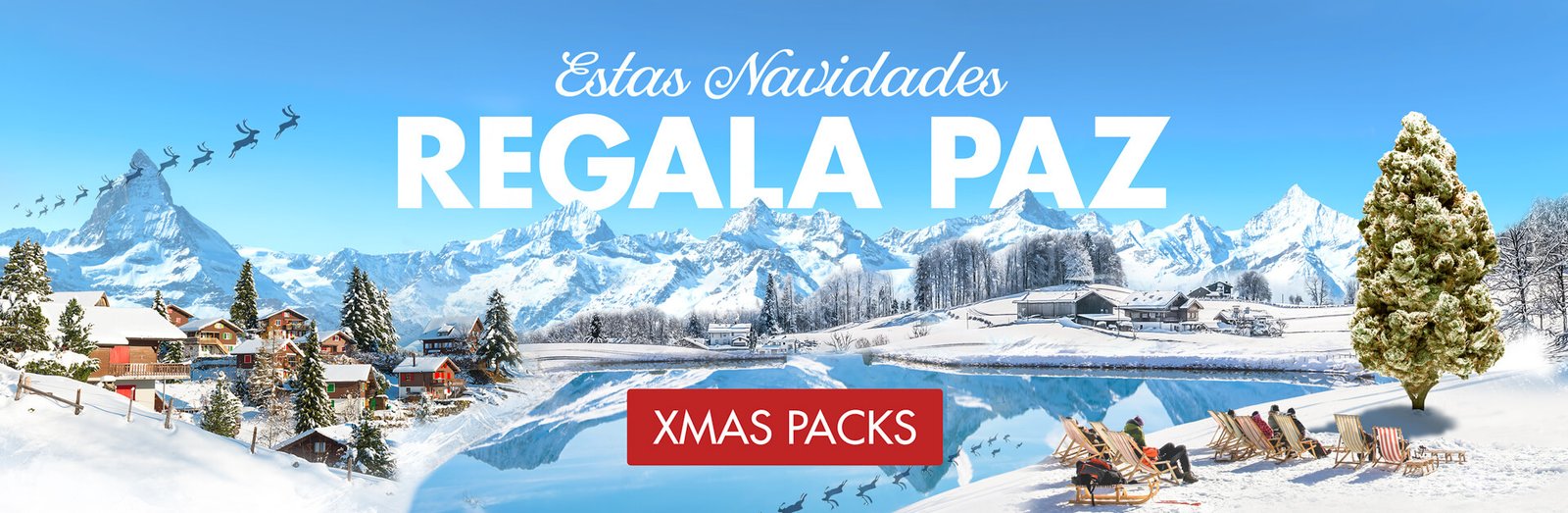 Cannactiv packs de Navidad Banner de Navidad de Cannactiva con paisaje nevado, mensaje ‘Regala Paz’ y promoción de XMAS Packs de CBD.