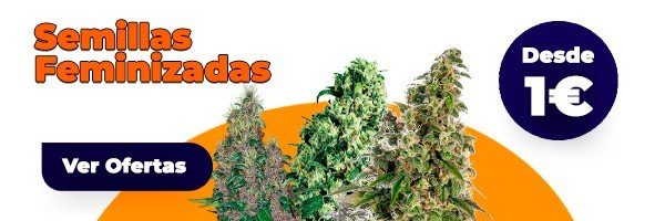 Eurogrow oferta Banner de Eurogrow: 3 semillas gratis a partir de 30€ de pedido (regalo adicional al del carrito)