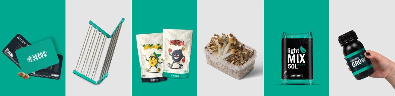 Categorías principales en GrowBarato Acceso a categorías principales de GrowBarato: semillas, CBD shop, fertilizantes e iluminación