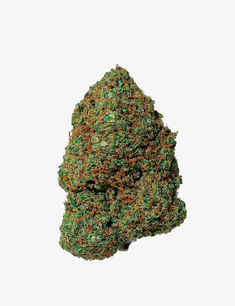 Amnesia 2.0 CBD de HighSociety Cogollo de Amnesia 2.0 CBD de HighSociety sobre fondo gris claro.