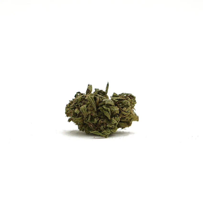 Cogollos pequeños Lemon Aceite de CBD Cannactiva 20% en frasco de 10 ml con cuentagotas