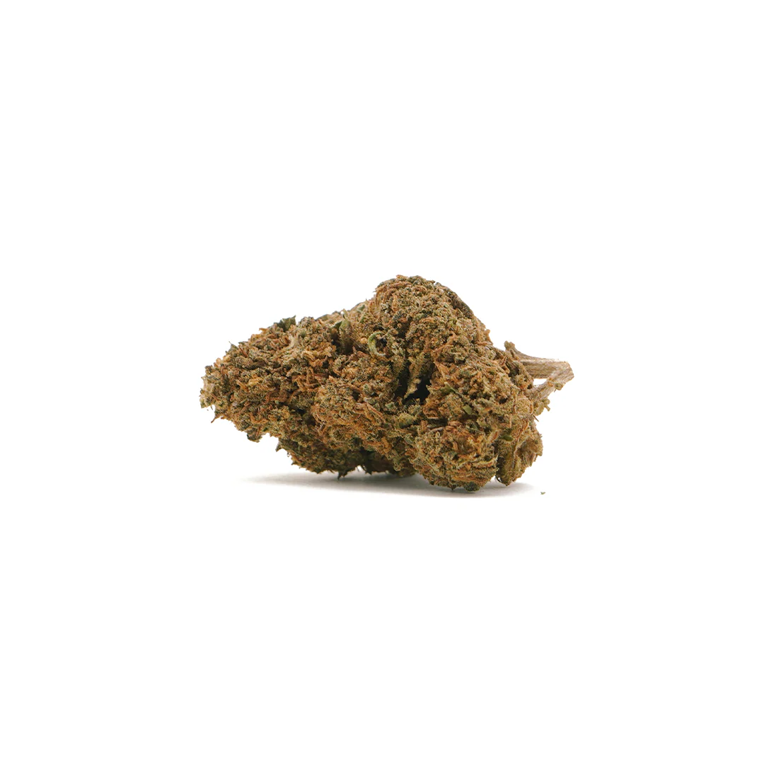 Jack Herer CBD de CBDSOL Cogollo de Jack Herer CBD de CBDSOL sobre fondo blanco.