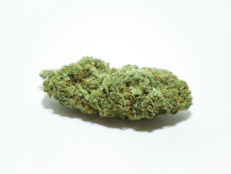 cogollo-northern-lights-cbd-indoor Aceite de CBD Cannactiva 20% en frasco de 10 ml con cuentagotas