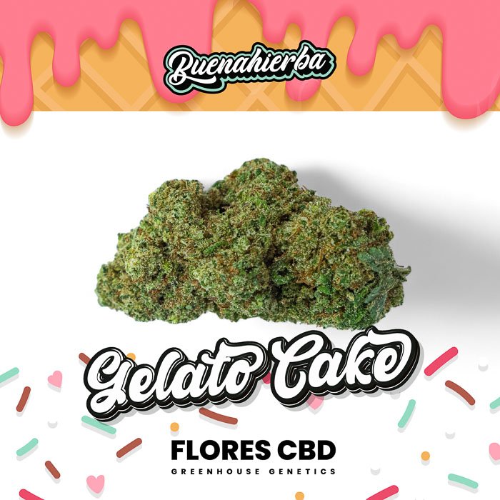 gelato-cake-flores-cbd-invernadero_buenahierba-1 Aceite de CBD Cibdol 20% en frasco pequeño con cuentagotas blanco