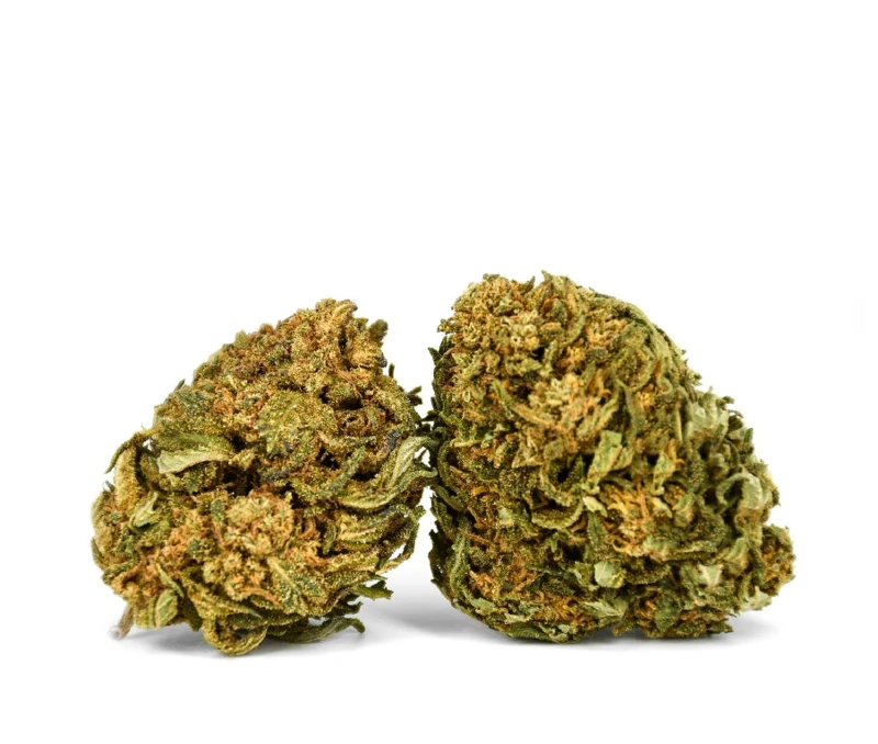 somango-cbd-outdoor-cogollos-buenahierba