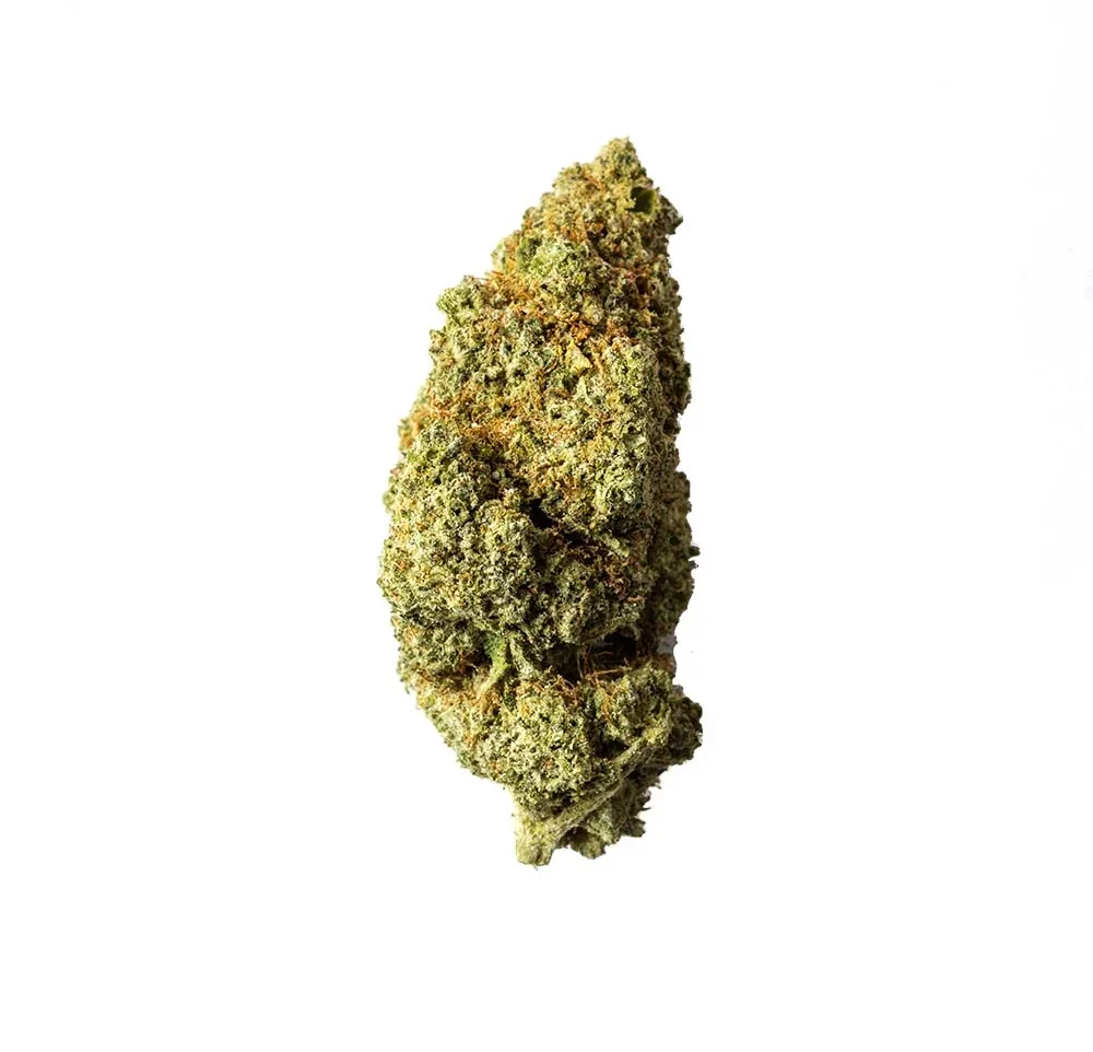 Profesor CBD Lemon haze Cogollo de flor CBD La Cordobesa Súper Limonera (Lemon Haze) en primer plano, con tonos verdes y pistilos anaranjados, sobre fondo blanco.