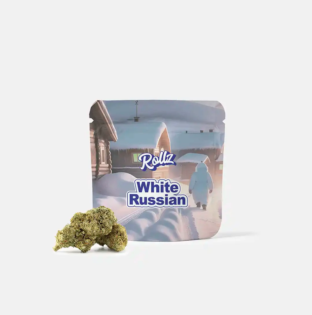 Rollz White Russian – Flor CBD premium Paquete Rollz White Russian con cogollos de flor CBD en primer plano sobre fondo blanco. Cogollo macro (primer plano, fondo blanco)