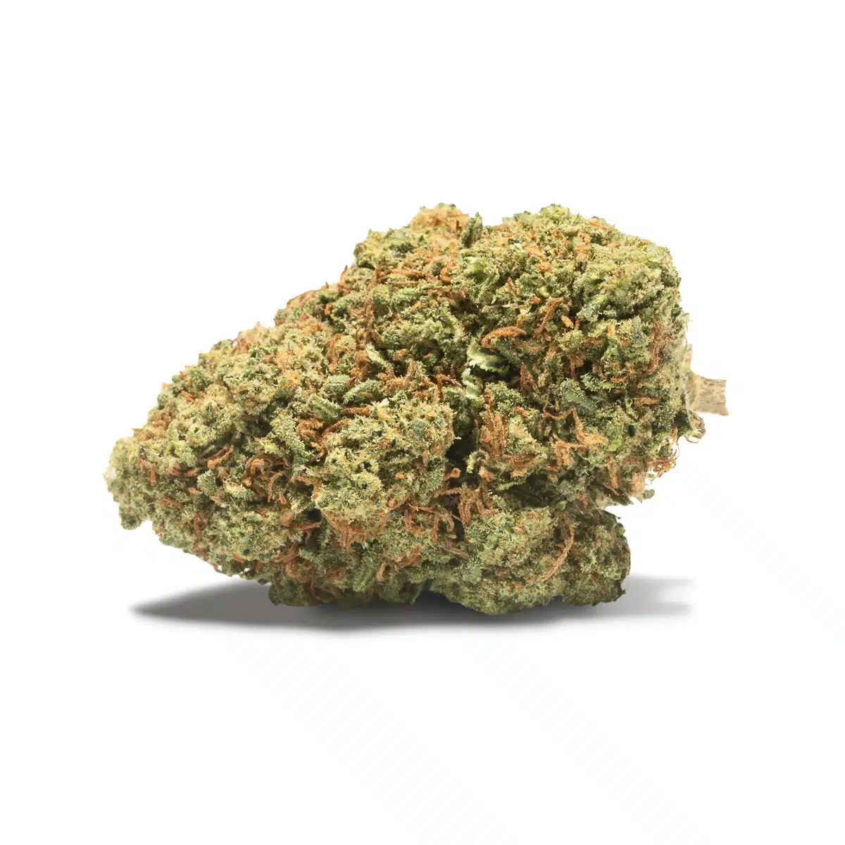 Gelato Sundae CBD Cannactiva Flor de CBD Gelato Sundae de Cannactiva, cogollo compacto de cannabis light con pistilos anaranjados sobre fondo blanco