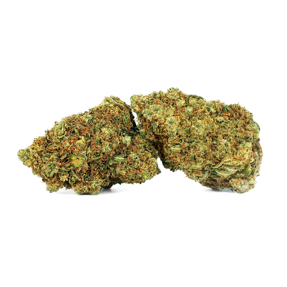 Amnesia CBD Indoor Natural Suit Imagen de flores Amnesia CBD Indoor de Natural Suit, con cogollos de cáñamo de color verde intenso y pistilos anaranjados sobre fondo blanco.