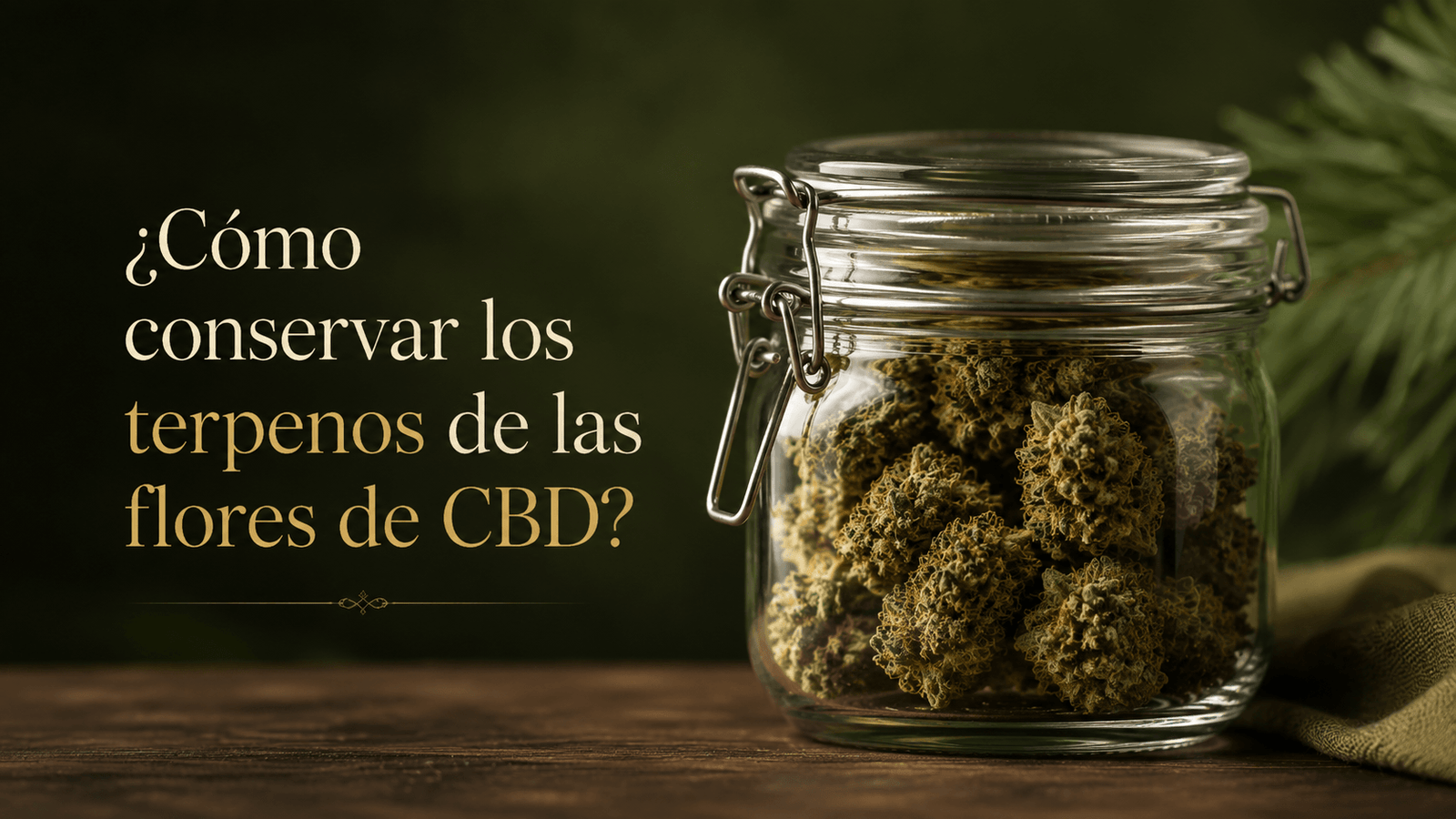 ¿Cómo conservar los terpenos de las flores de CBD? Flores de CBD almacenadas en un recipiente de cristal hermético para conservar sus terpenos