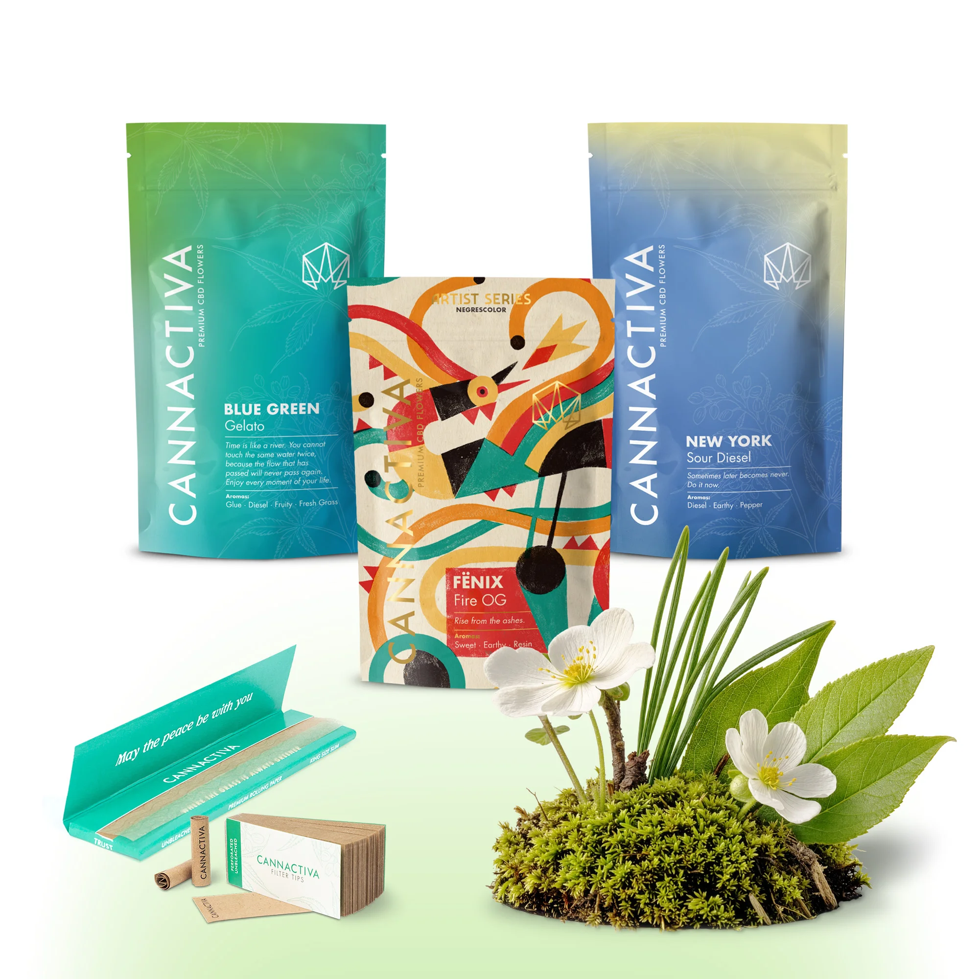 Flavour Pack Kush Terroso de flores de CBD de Cannactiva Pack Kush Terroso de Cannactiva con envases de Blue Green, New York y Fénix, junto a musgo, flores blancas y accesorios de la marca.