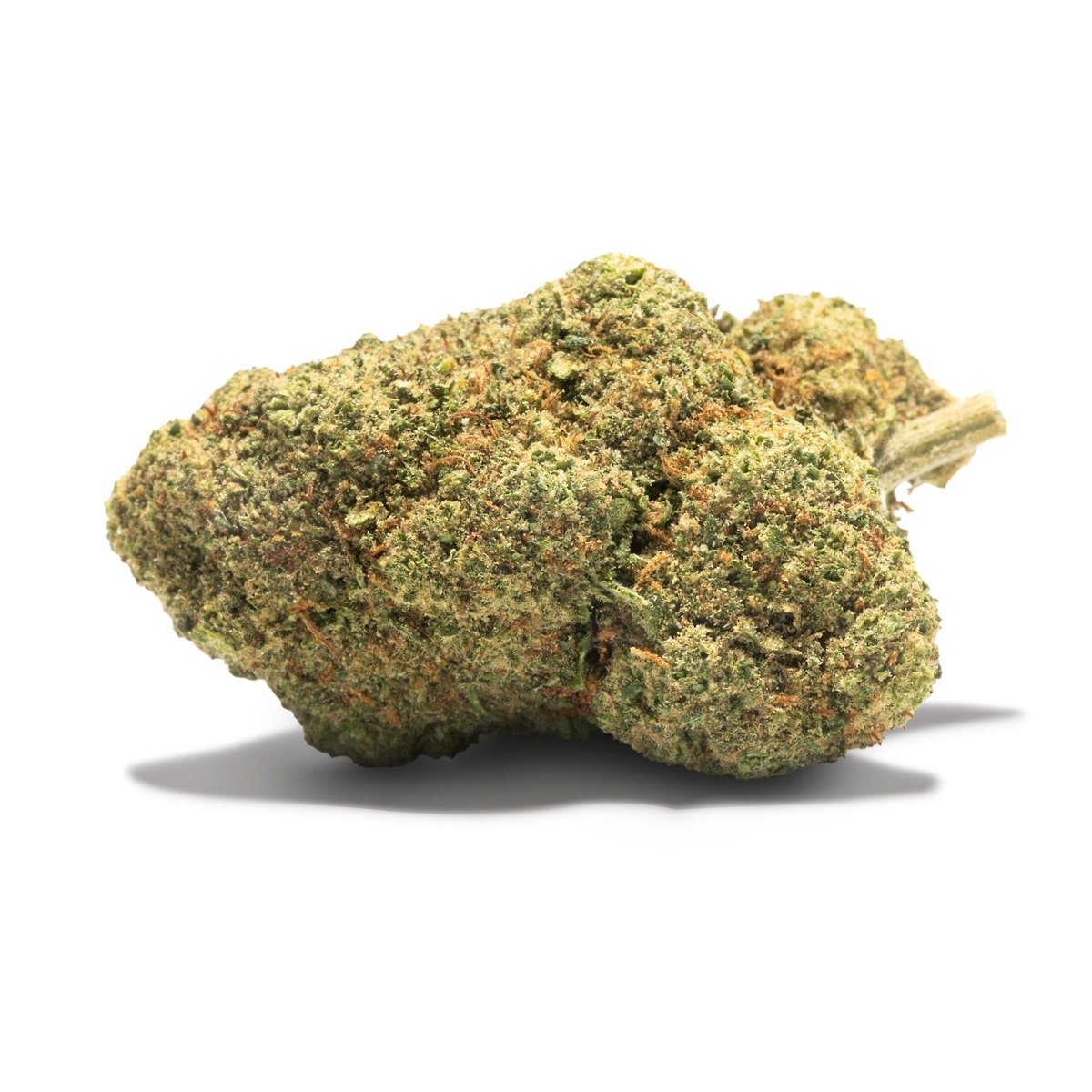 Ninja Fruit CBD de Cannactiva — Strawberry Kush x Watermelon Cogollo de flor de CBD Ninja Fruit de Cannactiva, variedad Strawberry Kush x Watermelon